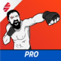 MMA Spartan Entrenamientos Pro Mod