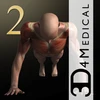 iMuscle 2 Mod Apk [Paid for free][Free purchase]