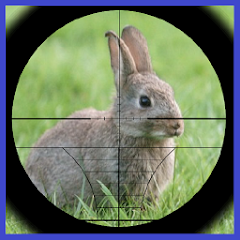 Rabbit Hunter Mod Apk