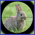 Rabbit Hunter Mod