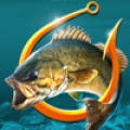 Fishing Hook Bass Tournament icon
