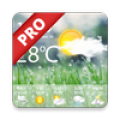 Weather Real-time Forecast Pro icon