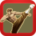 KungFu Quest : The Jade Tower icon