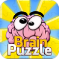 Brain Puzzle PRO Mod
