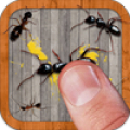 Ant Smasher icon
