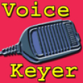Ham Radio Voice Keyer‏ Mod