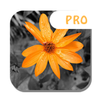 Color Splash -Photo Editor Pro icon