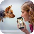 Dog Language Translator - Woof Mod