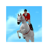 Jumpy Horse Show Jumping Mod