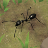 Ant Empire Simulator Mod