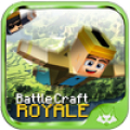 Battle Craft Royale icon