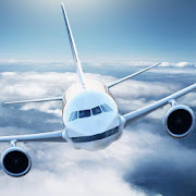 Flight Sim Passenger Plane Mod