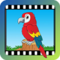 Video Touch - Pássaros Mod