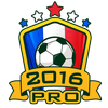 Euro 2016 Manager Pro Mod