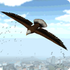 Eagle Bird City Simulator 2015 icon