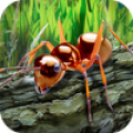 Simulador de sobrevida de formigas Mod