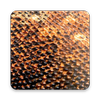 Komodo 11 Chess Engine icon
