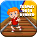 Subway Rush Runner Game Mod