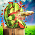 Watermelon Shooting 3D‏ Mod