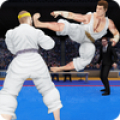 Kung Fu Fight King PRO: Real Karate Fighting Game icon