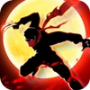 Shadow King : fighting of Kung fu
