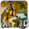 Autumn Leaves in HD Gyro 3D XL Mod