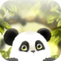 Panda Chub Live Wallpaper icon