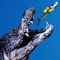 Under Water Alligators Hunting : Sea Monsters Mod