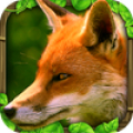 Fox Simulator Mod
