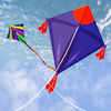 Kite Flying Festival 2021 - India Pak Challenge 3D Mod