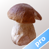 Myco pro - Mushroom Guide Mod
