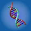 Human Run Mod Apk [Remove ads]