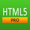 HTML5 Pro Quick Guide Mod