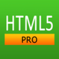 HTML5 Pro Quick Guide‏ Mod