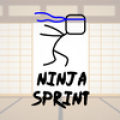 Ninja Sprint‏ Mod