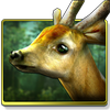 Forest HD Mod