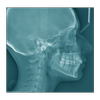 Oral Radiology Mod