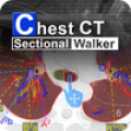 Chest CT Sectional Walker icon