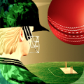 Cricket Fly Mod