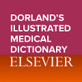 Dorland's Medical Dictionary Mod