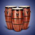 Real Percussion: percussão Mod