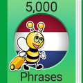 Learn Dutch - 5,000 Phrases Mod