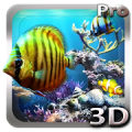 Tropical Ocean 3D LWP‏ Mod