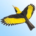 Morcombe's Birds of Australia icon