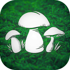 Real Mushroom Hunting Simulato Mod Apk