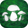 Real Mushroom Hunting Simulato icon