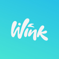 Wink - make new friends‏ Mod