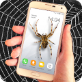 Spider filter prank Mod