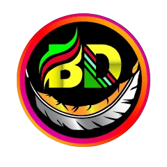 Download BD NET VPN APK