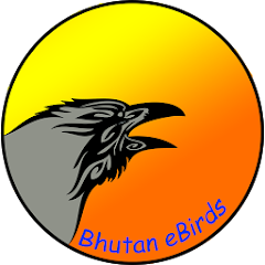 Bhutan eBirds Mod